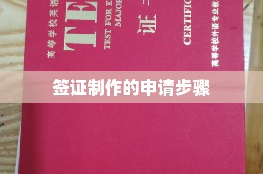 凤山签证制作的申请步骤